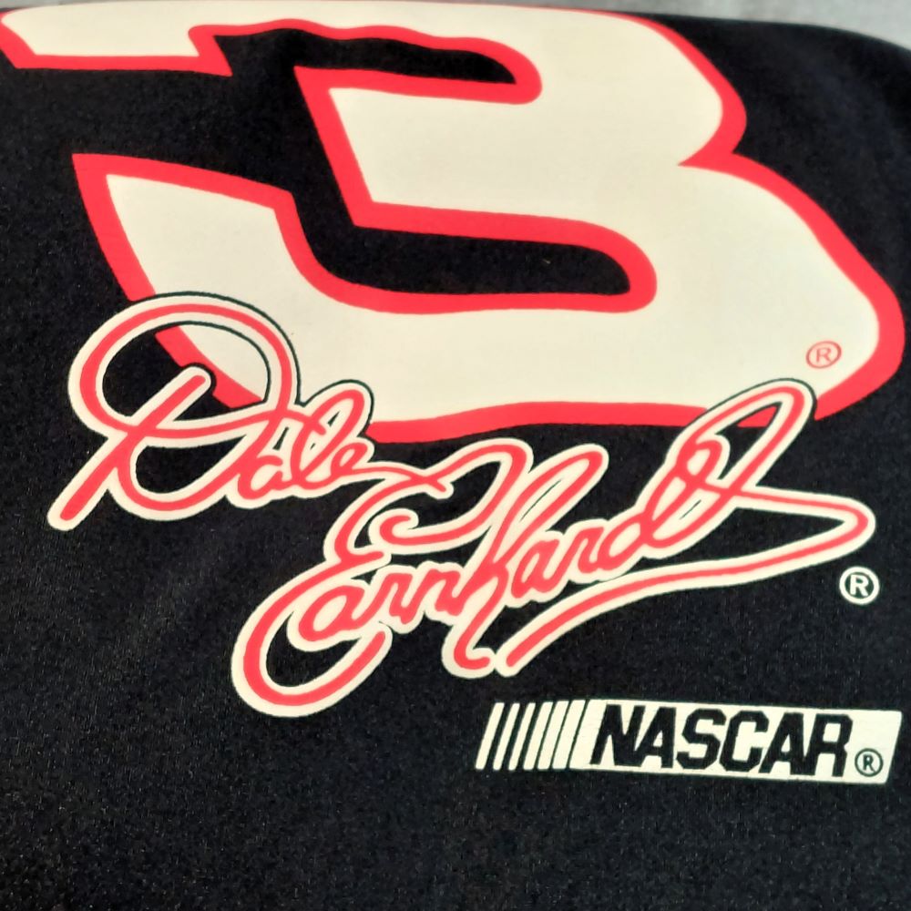 Microbead Roll Pillow Dale Earnhardt #3