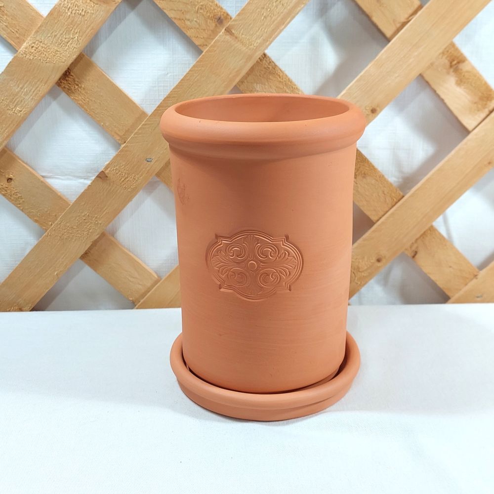 Southern Living at Home Sonoma Quick Chill Wine Cooler