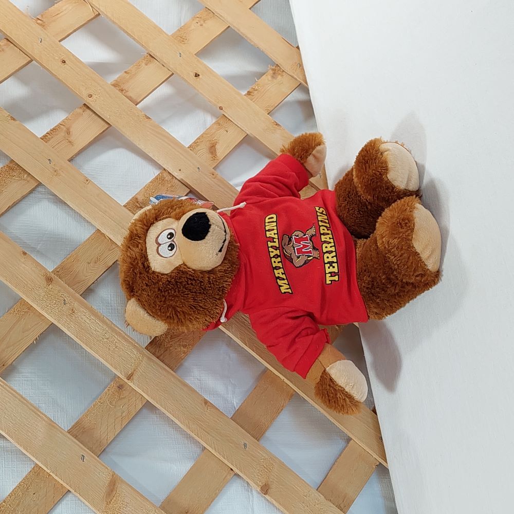 Toy Factory Maryland Hoodie Bear 13.5"