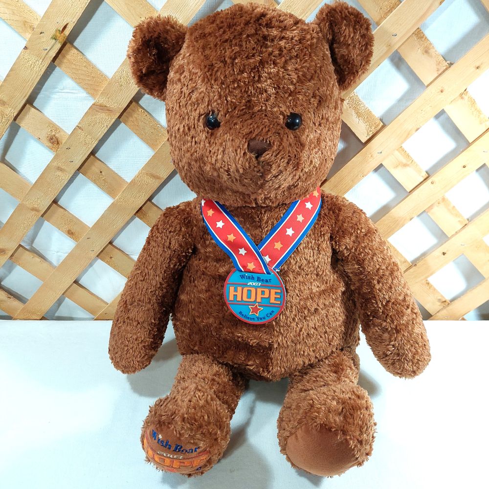 Gund Inc. Wish Bear 2003 Stuffed Bear