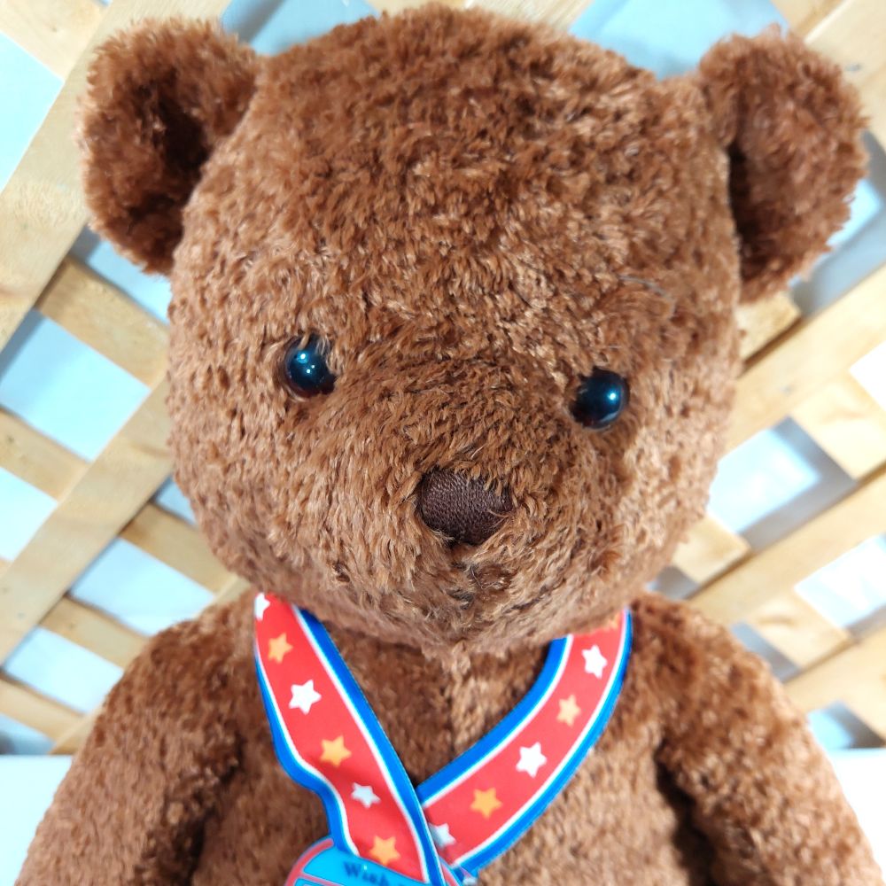 Gund Inc. Wish Bear 2003 Stuffed Bear
