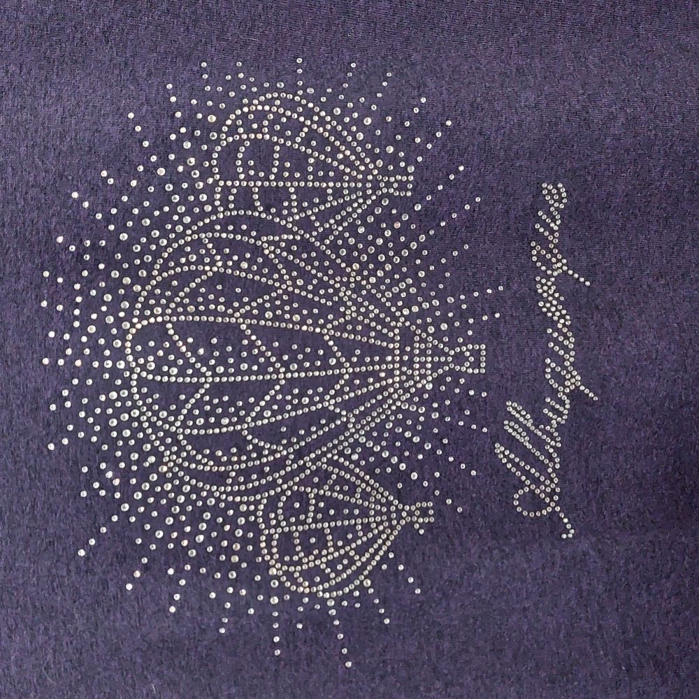 Rhinestone Hot Air Balloon Albuquerque T-Shirt