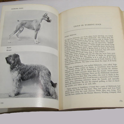 The Complete Dog Book New Revised Edition 1968