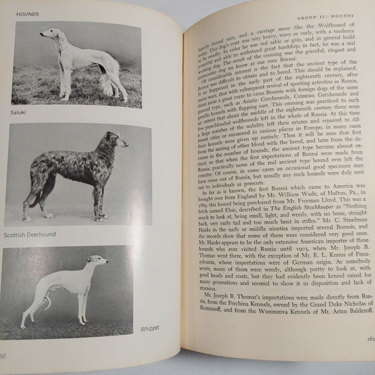 The Complete Dog Book New Revised Edition 1968