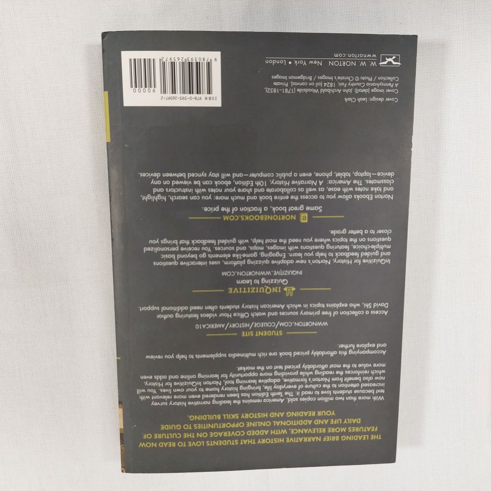 America A Narrative History Volume 1 Brief 10th Edition Softcover Book