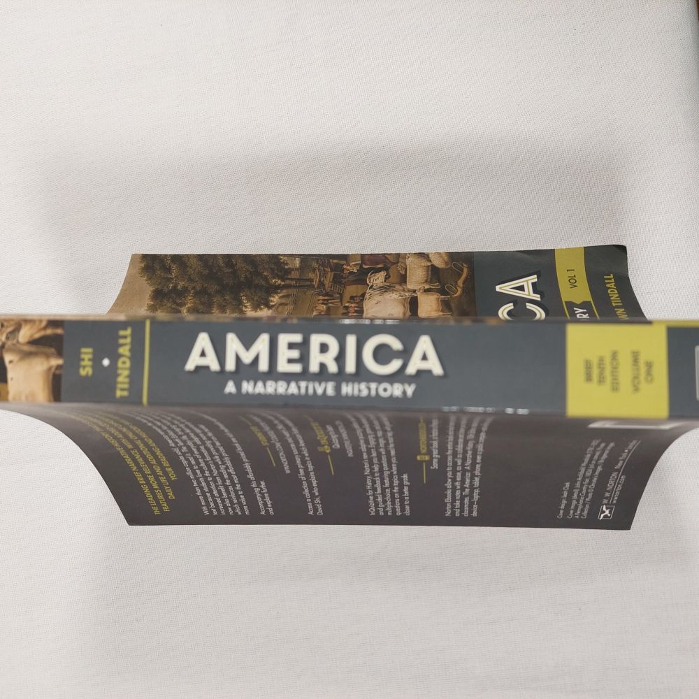 America A Narrative History Volume 1 Brief 10th Edition Softcover Book