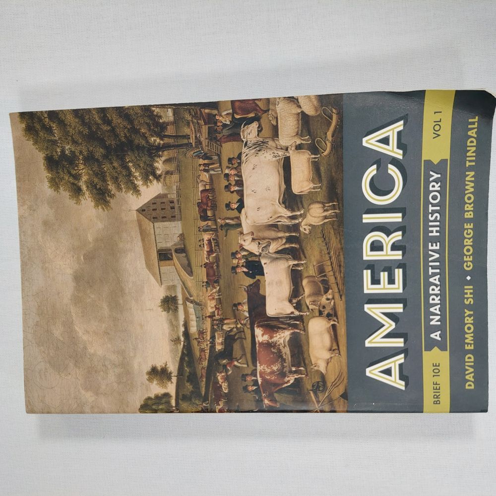 America A Narrative History Volume 1 Brief 10th Edition Softcover Book