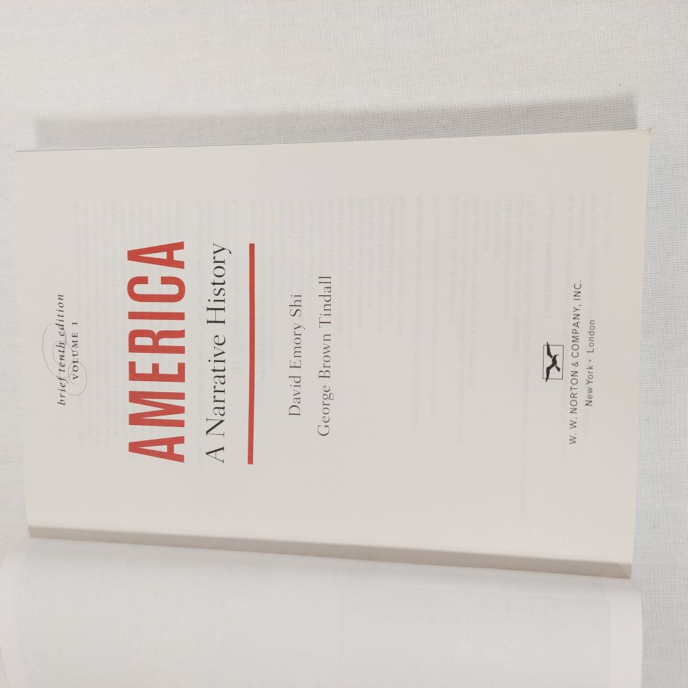 America A Narrative History Volume 1 Brief 10th Edition Softcover Book