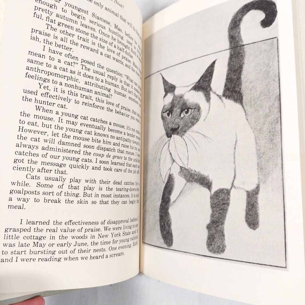 Do Cats Think? Notes of a Cat Watcher, Book by Paul Corey